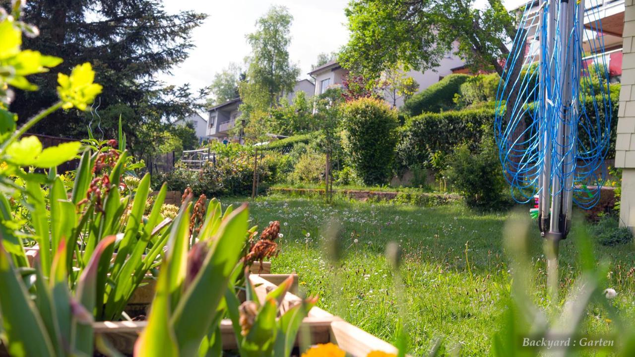 Entire House In Schwarzwald With Mountain View, Private Sauna, Gym, Garden And Terraces Unterkirnach Esterno foto
