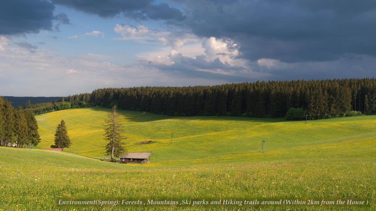 Entire House In Schwarzwald With Mountain View, Private Sauna, Gym, Garden And Terraces Unterkirnach Esterno foto