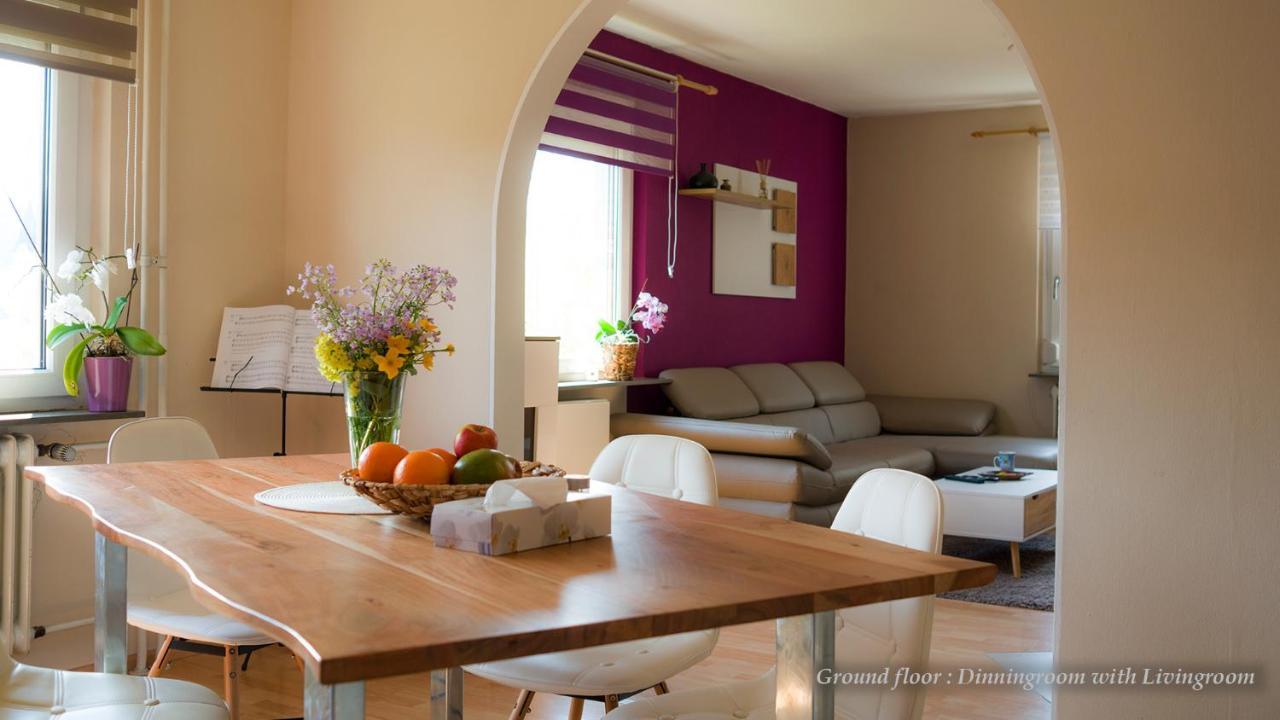 Entire House In Schwarzwald With Mountain View, Private Sauna, Gym, Garden And Terraces Unterkirnach Esterno foto