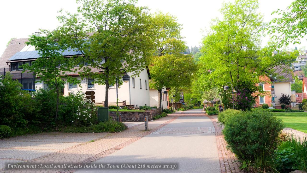 Entire House In Schwarzwald With Mountain View, Private Sauna, Gym, Garden And Terraces Unterkirnach Esterno foto