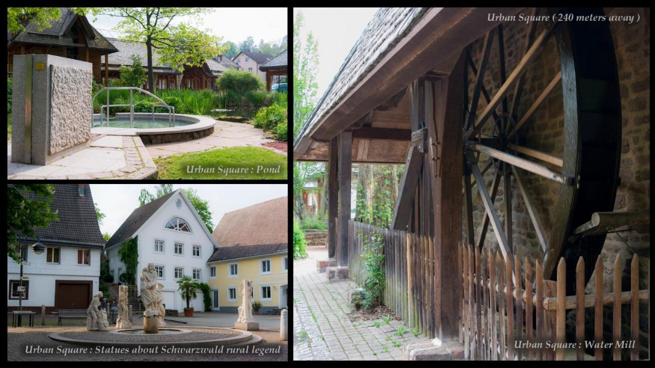 Entire House In Schwarzwald With Mountain View, Private Sauna, Gym, Garden And Terraces Unterkirnach Esterno foto