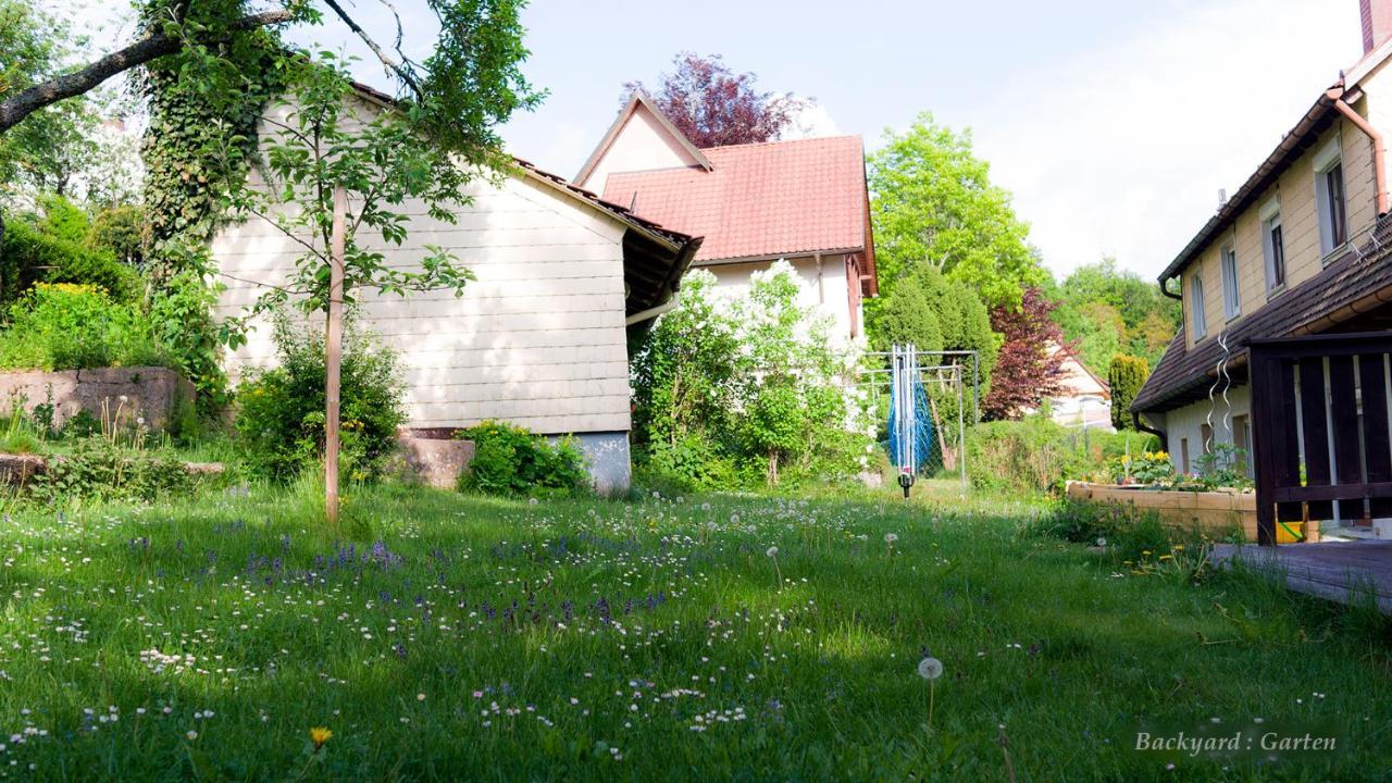 Entire House In Schwarzwald With Mountain View, Private Sauna, Gym, Garden And Terraces Unterkirnach Esterno foto