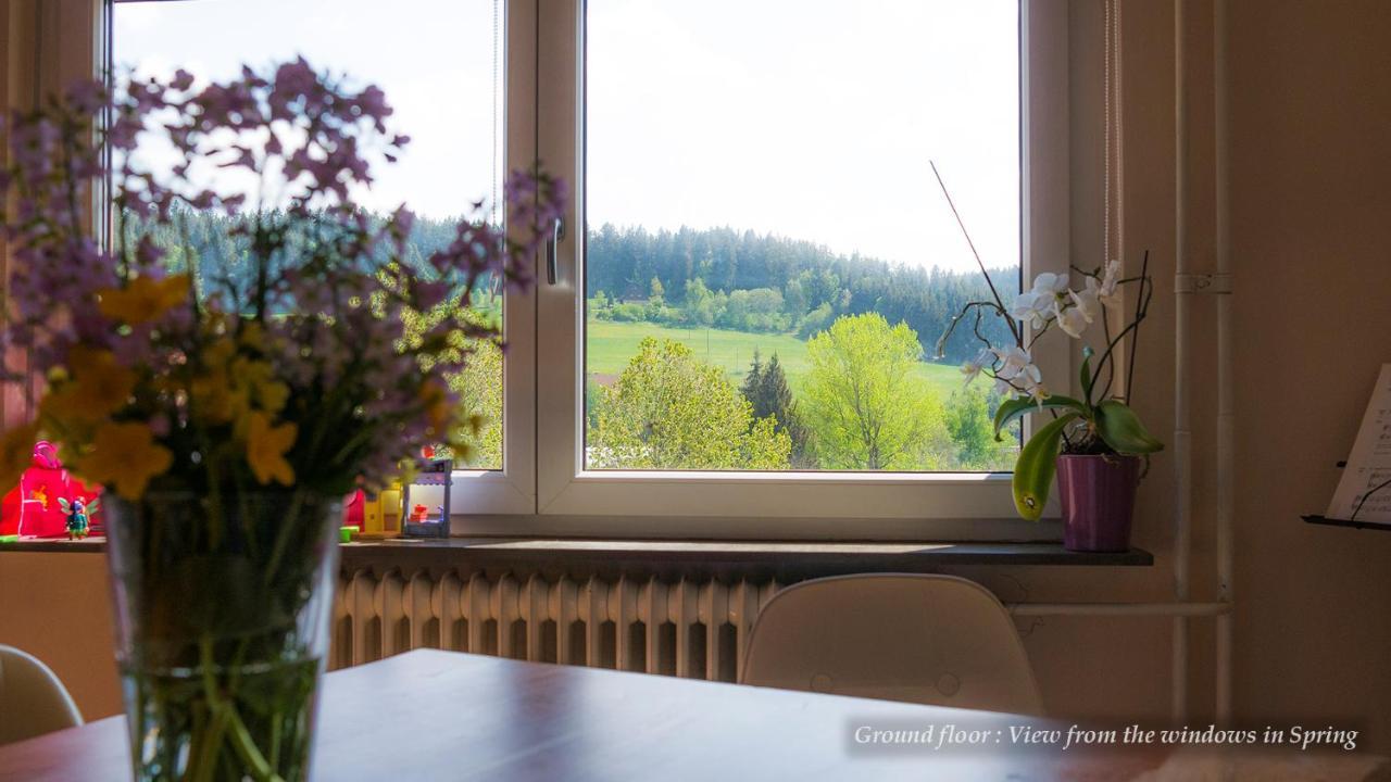 Entire House In Schwarzwald With Mountain View, Private Sauna, Gym, Garden And Terraces Unterkirnach Esterno foto